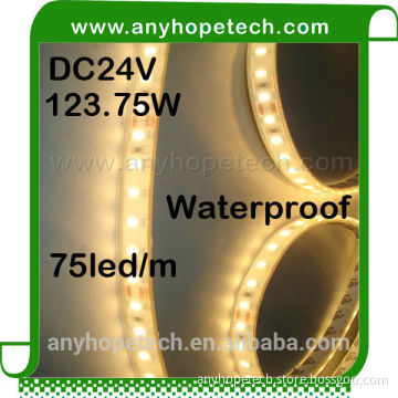 Color temperature 2700K taiwan epistar decorative outdoor smd 5630 strip